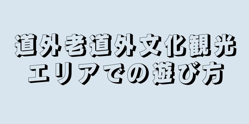 道外老道外文化観光エリアでの遊び方