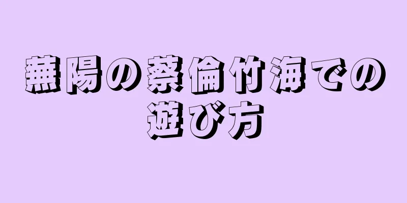 蕪陽の蔡倫竹海での遊び方