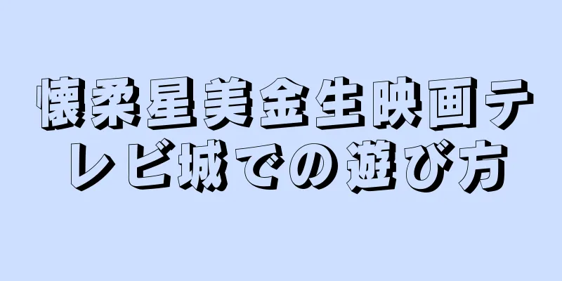 懐柔星美金生映画テレビ城での遊び方