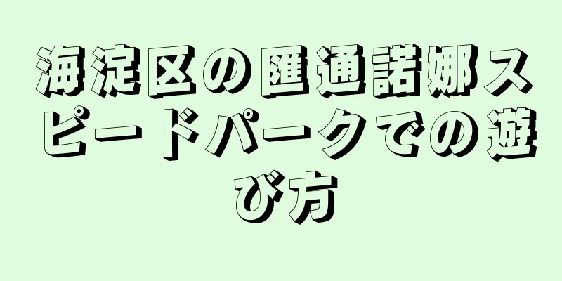 海淀区の匯通諾娜スピードパークでの遊び方