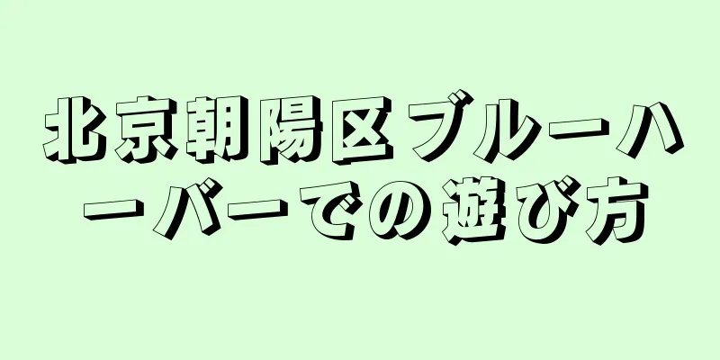 北京朝陽区ブルーハーバーでの遊び方