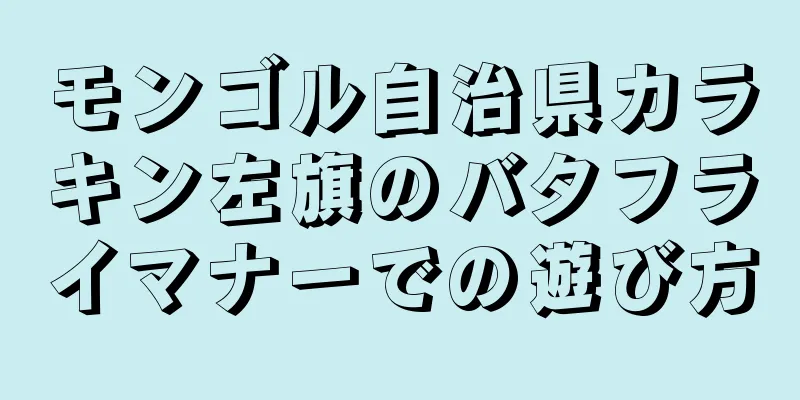 モンゴル自治県カラキン左旗のバタフライマナーでの遊び方