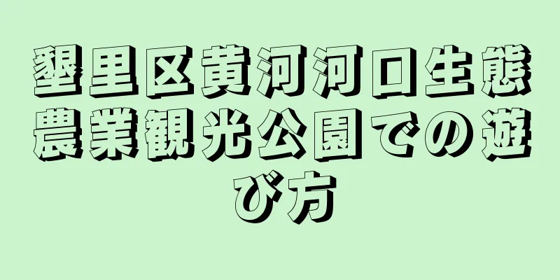 墾里区黄河河口生態農業観光公園での遊び方