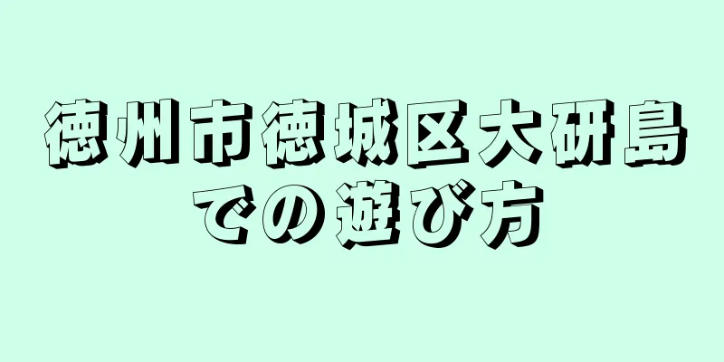 徳州市徳城区大研島での遊び方