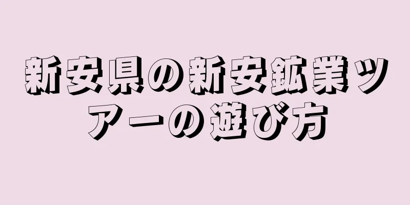 新安県の新安鉱業ツアーの遊び方