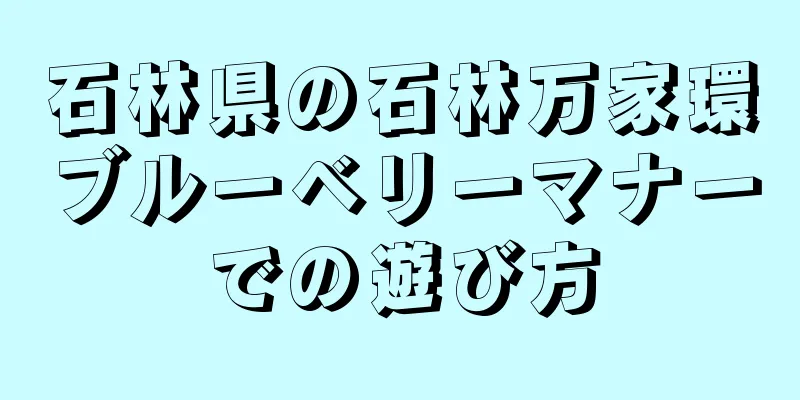 石林県の石林万家環ブルーベリーマナーでの遊び方