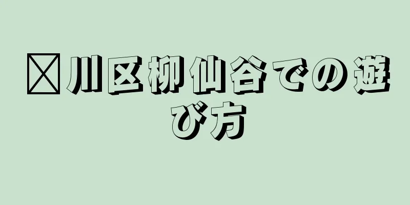 淄川区柳仙谷での遊び方