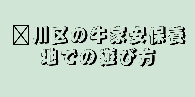 淄川区の牛家安保養地での遊び方