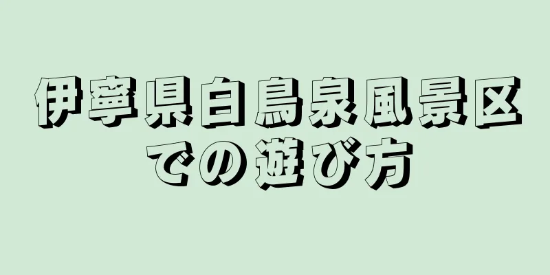 伊寧県白鳥泉風景区での遊び方