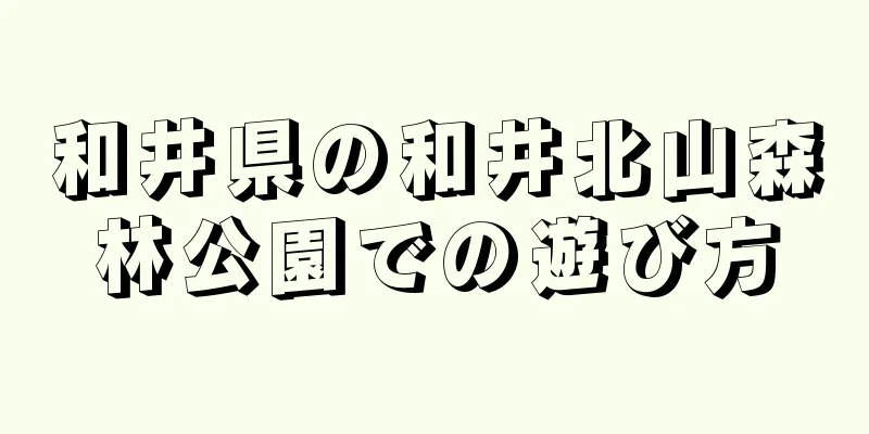 和井県の和井北山森林公園での遊び方