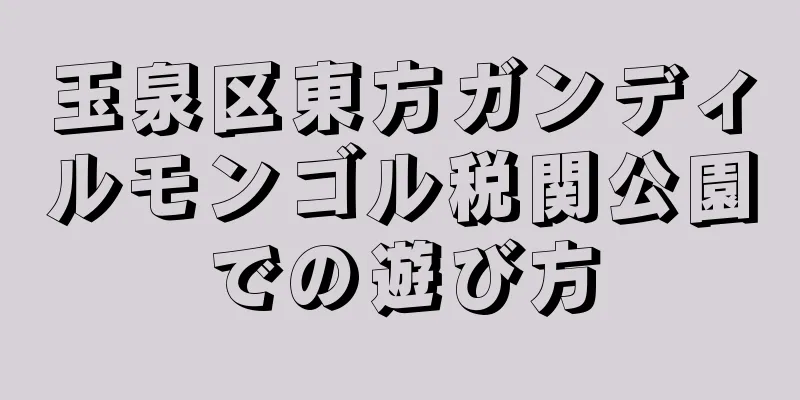 玉泉区東方ガンディルモンゴル税関公園での遊び方