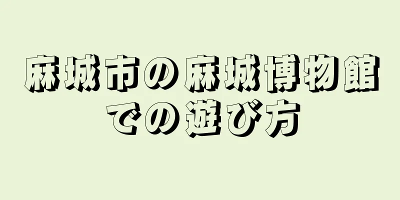 麻城市の麻城博物館での遊び方