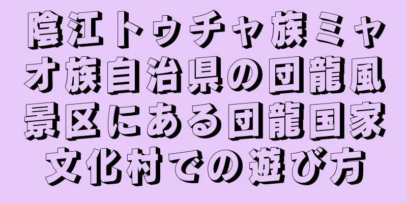 陰江トゥチャ族ミャオ族自治県の団龍風景区にある団龍国家文化村での遊び方