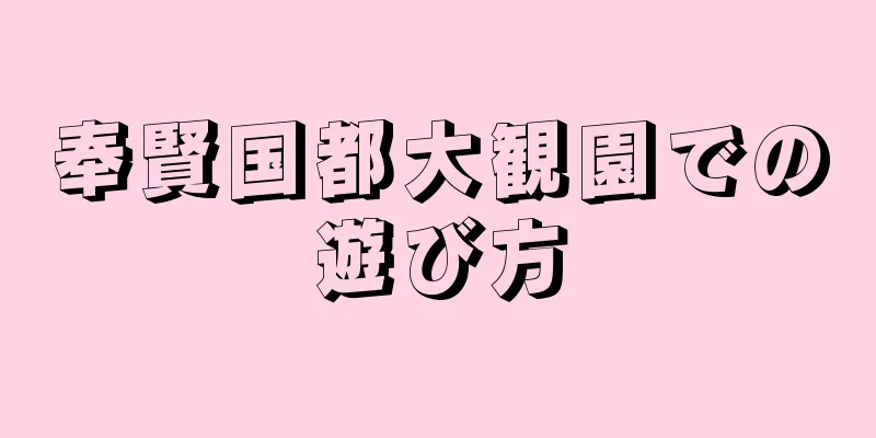 奉賢国都大観園での遊び方