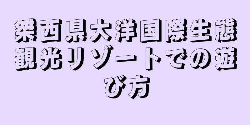 桀西県大洋国際生態観光リゾートでの遊び方