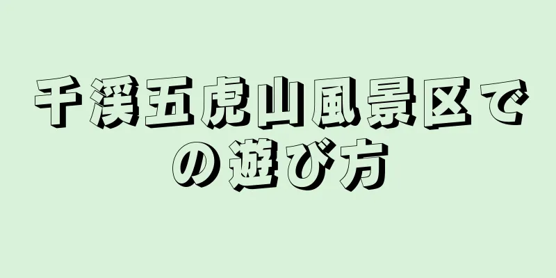 千渓五虎山風景区での遊び方