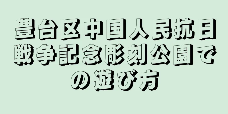 豊台区中国人民抗日戦争記念彫刻公園での遊び方