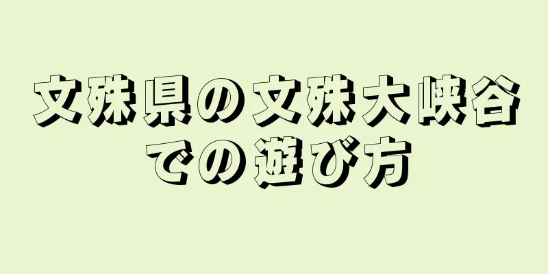 文殊県の文殊大峡谷での遊び方