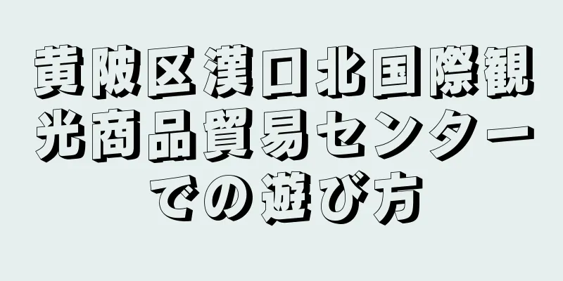 黄陂区漢口北国際観光商品貿易センターでの遊び方