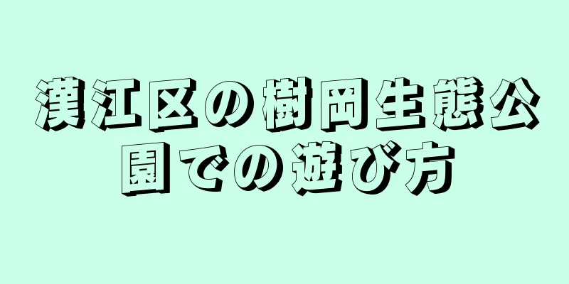 漢江区の樹岡生態公園での遊び方