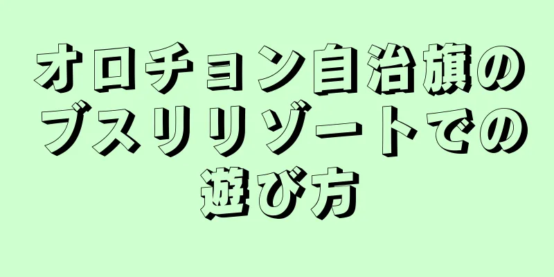 オロチョン自治旗のブスリリゾートでの遊び方