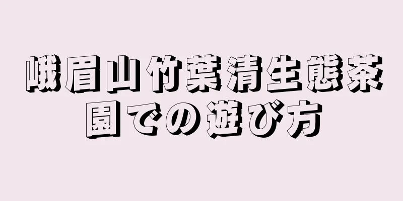 峨眉山竹葉清生態茶園での遊び方