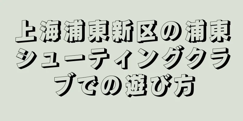 上海浦東新区の浦東シューティングクラブでの遊び方