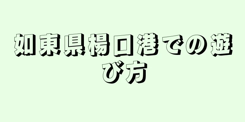 如東県楊口港での遊び方