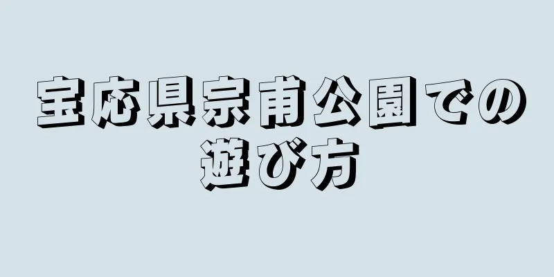 宝応県宗甫公園での遊び方