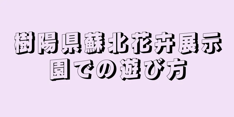 樹陽県蘇北花卉展示園での遊び方