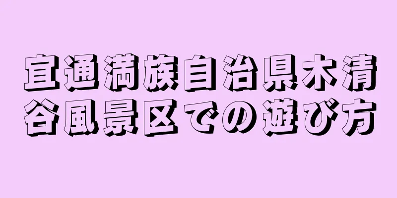 宜通満族自治県木清谷風景区での遊び方