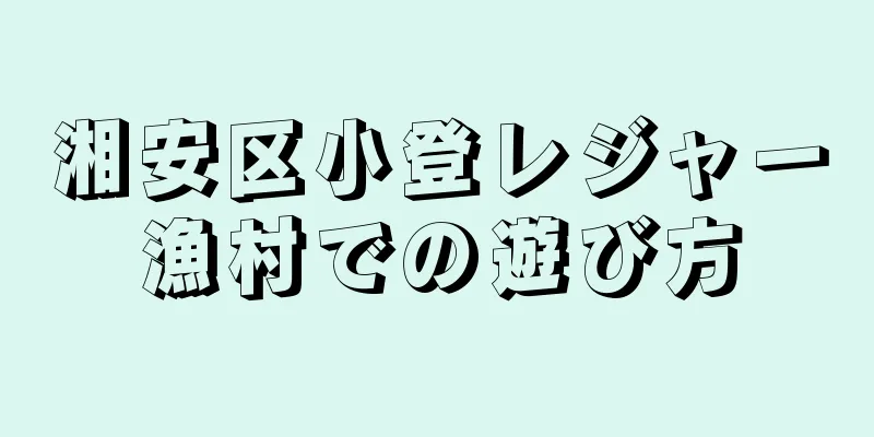 湘安区小登レジャー漁村での遊び方