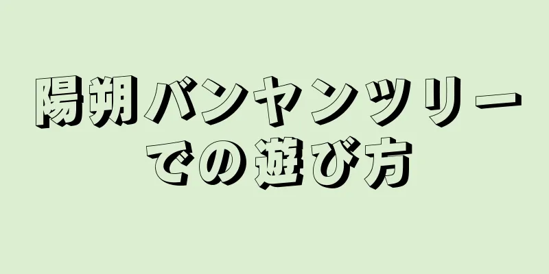 陽朔バンヤンツリーでの遊び方