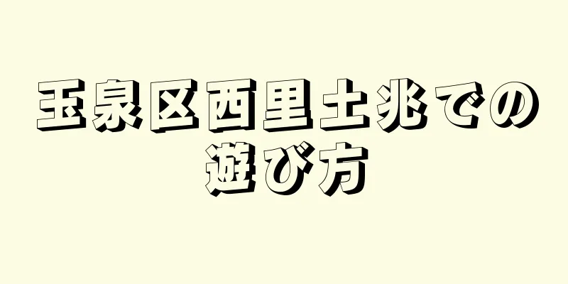 玉泉区西里土兆での遊び方