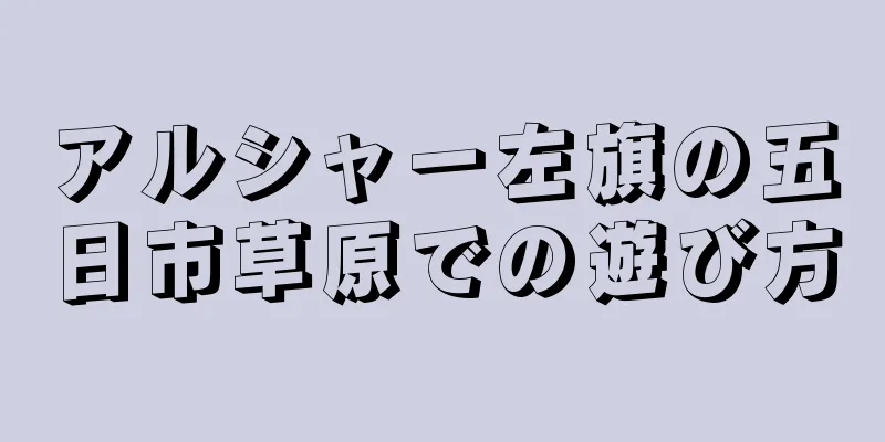 アルシャー左旗の五日市草原での遊び方