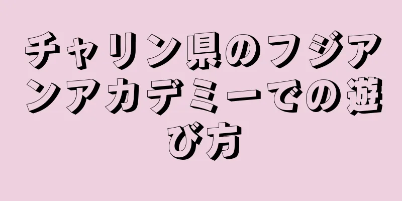 チャリン県のフジアンアカデミーでの遊び方