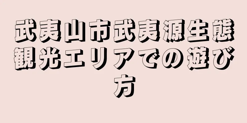 武夷山市武夷源生態観光エリアでの遊び方