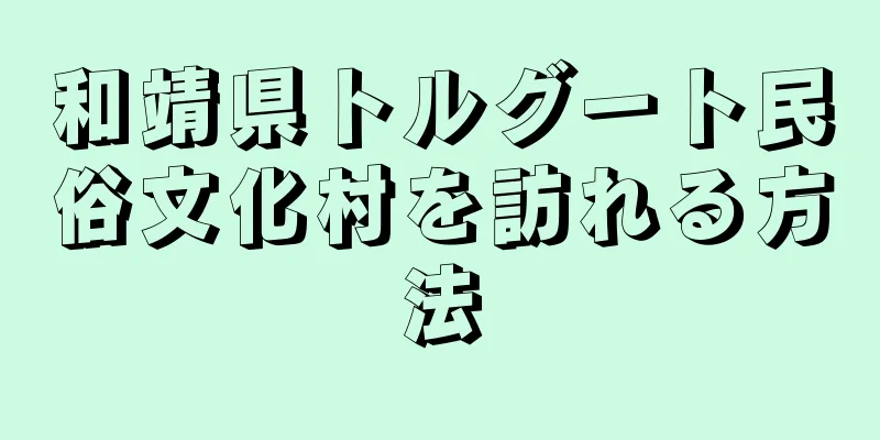 和靖県トルグート民俗文化村を訪れる方法