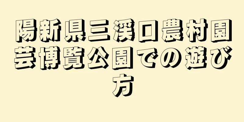 陽新県三渓口農村園芸博覧公園での遊び方