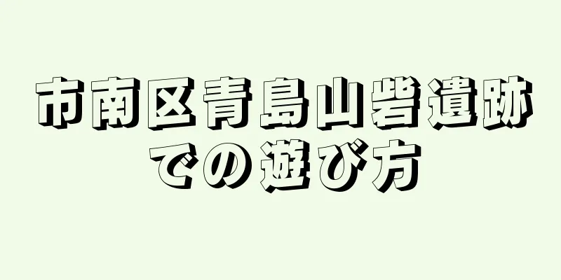市南区青島山砦遺跡での遊び方