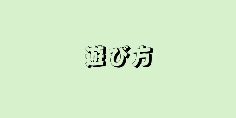 遊び方