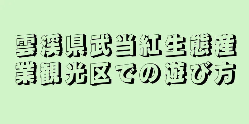 雲渓県武当紅生態産業観光区での遊び方