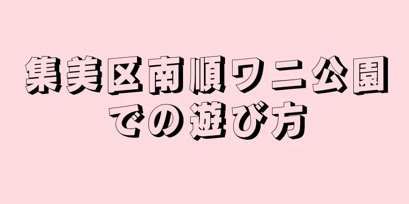集美区南順ワニ公園での遊び方