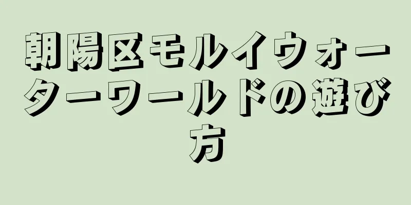 朝陽区モルイウォーターワールドの遊び方