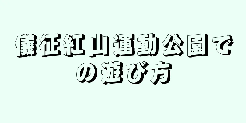 儀征紅山運動公園での遊び方