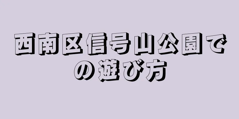 西南区信号山公園での遊び方