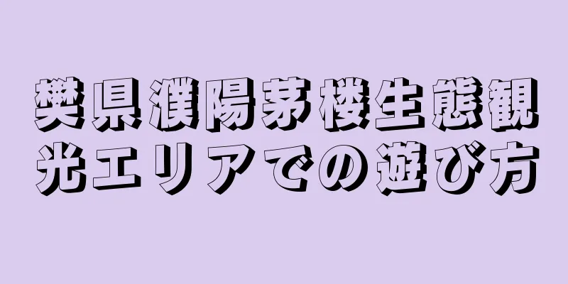 樊県濮陽茅楼生態観光エリアでの遊び方