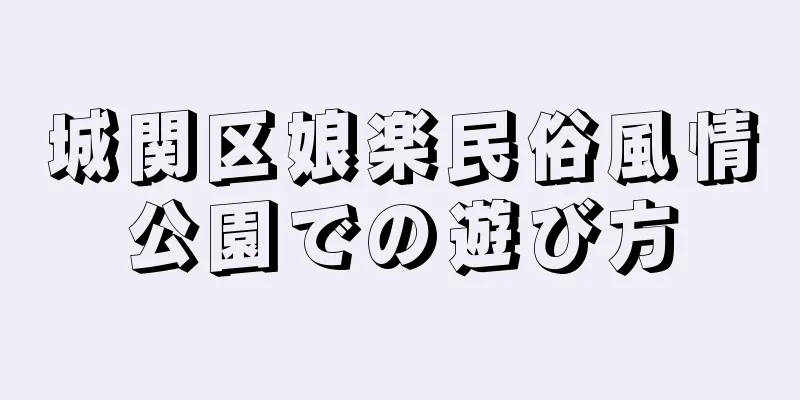 城関区娘楽民俗風情公園での遊び方
