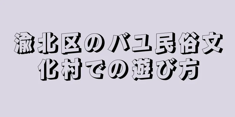 渝北区のバユ民俗文化村での遊び方