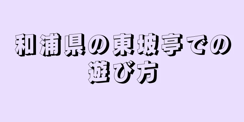 和浦県の東坡亭での遊び方